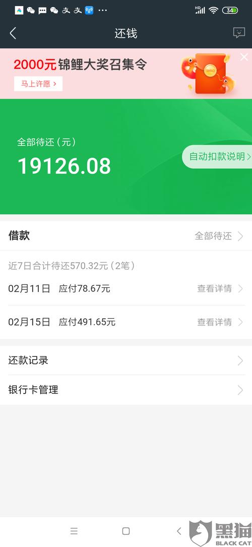 360申请延期还款成功