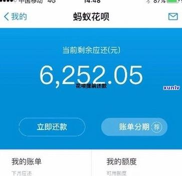 我的花呗里怎么没有24期分期的原因是什么