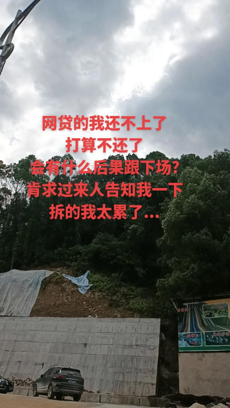 还不上网贷会有什么后果
