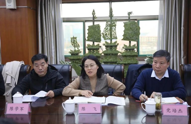 槐荫法院特邀段北调委会是催收的具体情况如何？