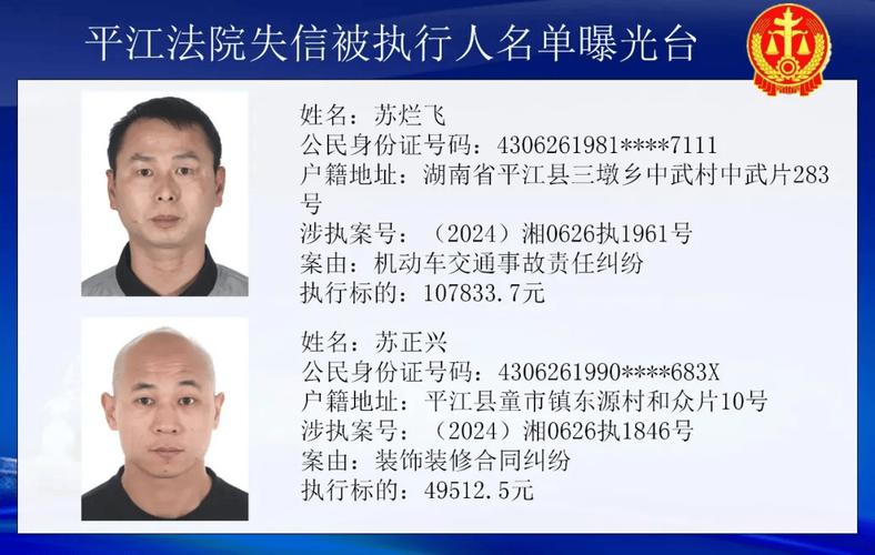 2025年失信被执行人还款的最新政策是什么？详细解读与分析