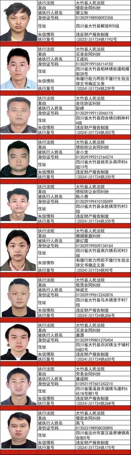 中国有多少失信人2024