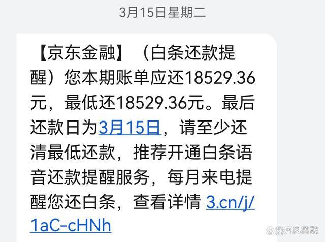 京东白条逾期一年会有什么后果？
