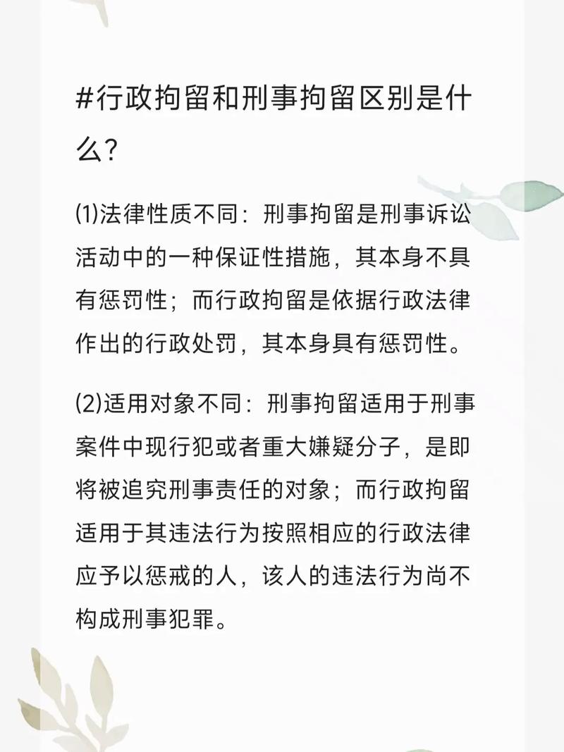 借100万不还会被拘留吗?法律后果分析