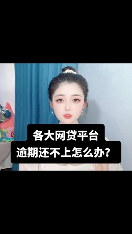 网贷逾期还不上怎么办？