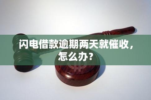 闪电贷逾期政策最新规定