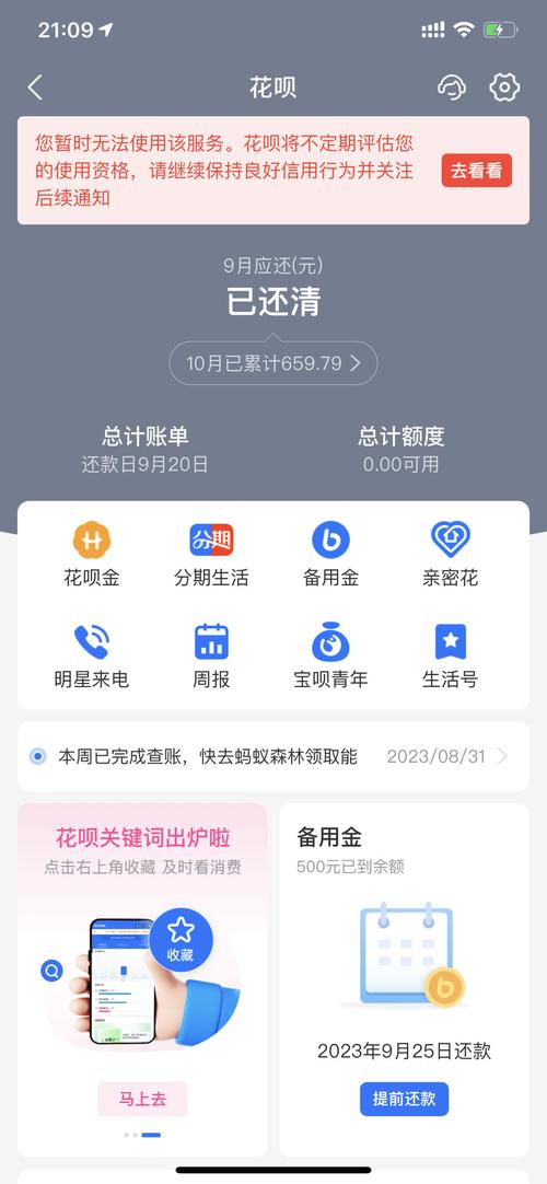 法院把担保人的卡和微信冻结了，支付宝的花呗该怎么偿还？