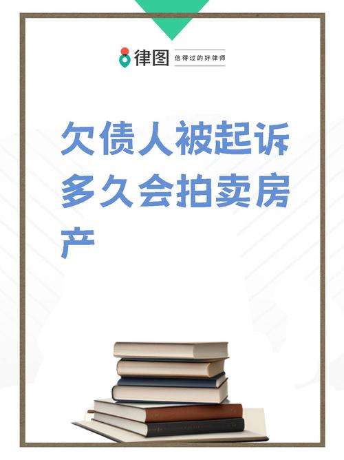 欠网贷贷款买的房子法院能强制执行拍卖吗