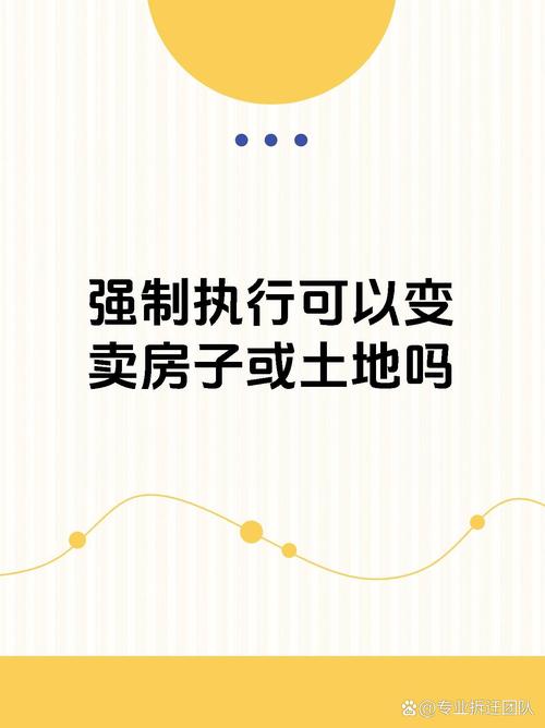 欠网贷贷款买的房子法院能强制执行拍卖吗