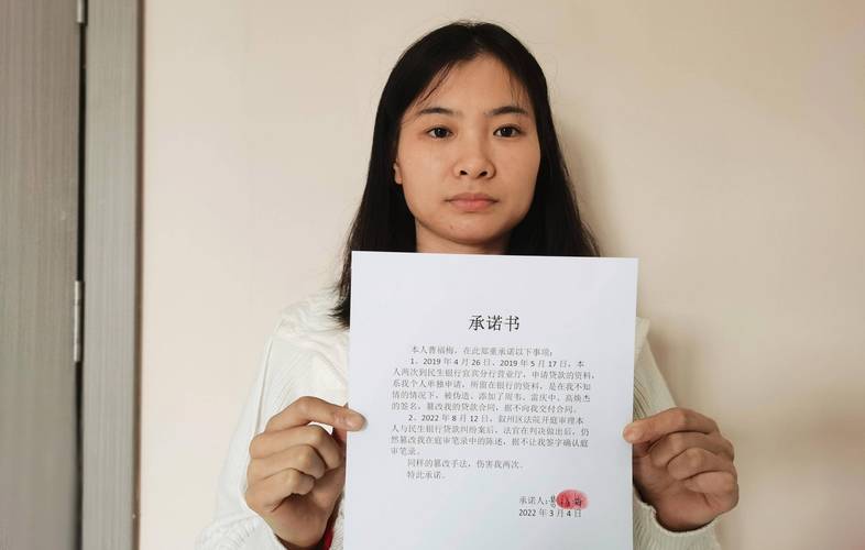 民生银行起诉恶意透支案例分析与应对策略
