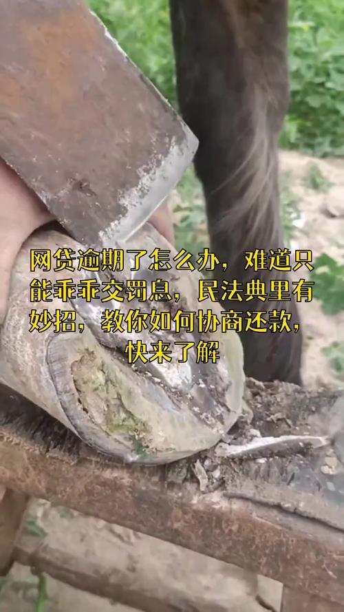 民法典关于网贷逾期的法律条款是什么