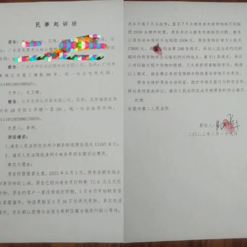 欠京东5000多元，他说要诉讼我，我该怎么办？