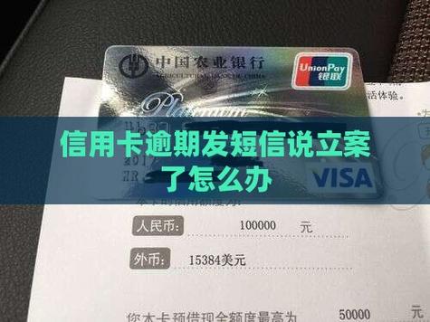 有个叫信用卡贷的发短信已经立案，该怎么办？