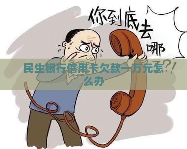民生信用卡欠1万5千怎么办？