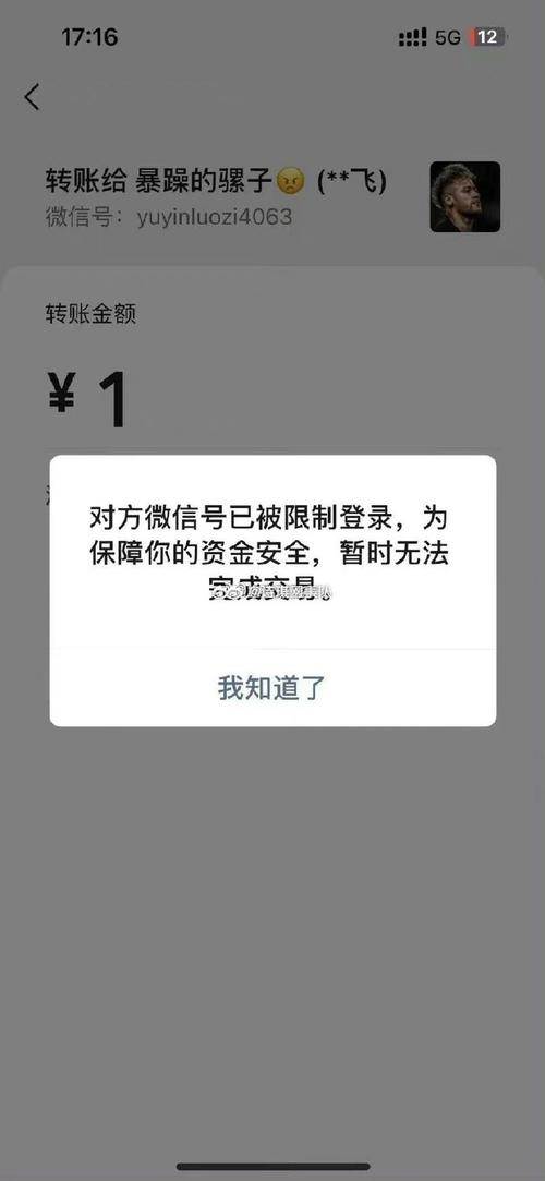 欠了网贷微信零钱被冻结了怎么办