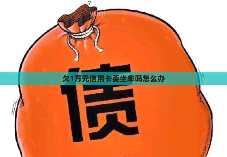 建设信用卡欠1万怎么办？