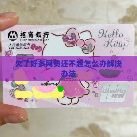 欠了20万网贷还不起了怎么办？寻求专业帮助和解决方案
