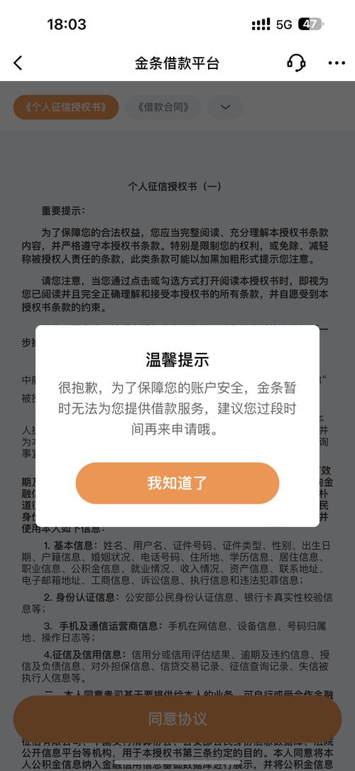 京东金条起诉了会有什么后果？