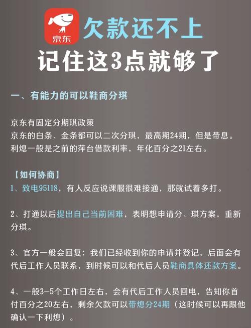 京东白条欠款多少钱被起诉的相关问题解答