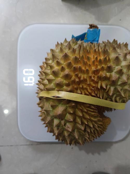 优选金服打电话给我是什么原因呢？