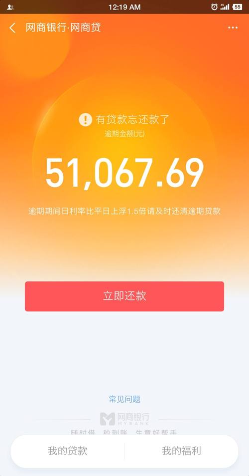 网商贷四万多还不起了