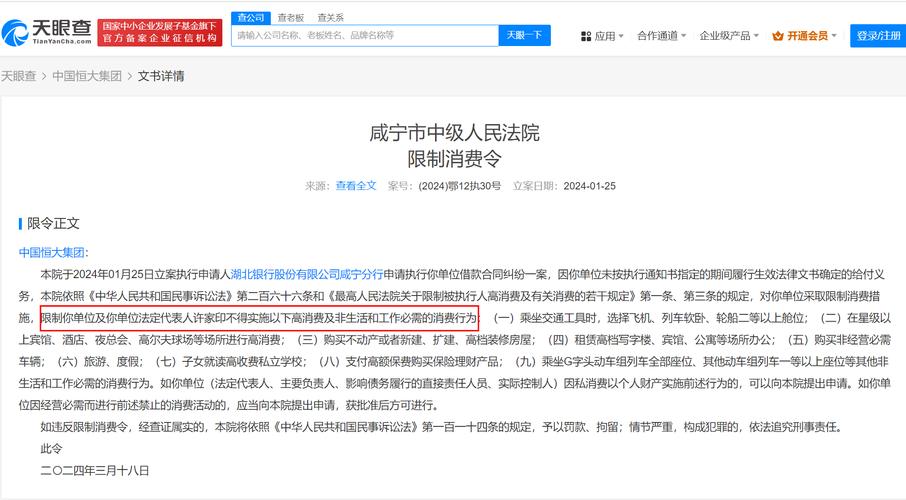 欠钱多少可以限制高消费的标准是什么?