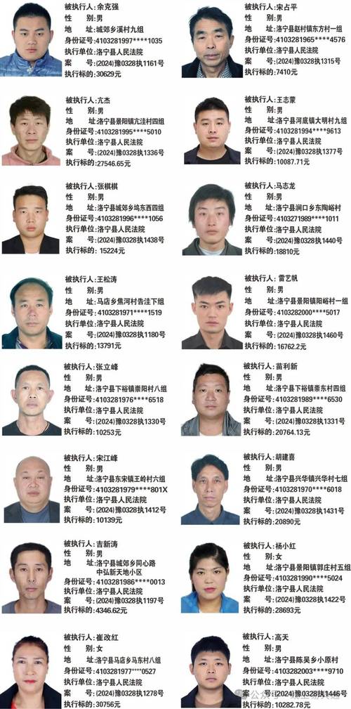 2024失信人员总数祁县