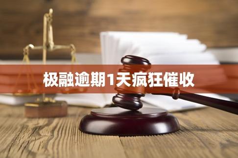 极融 逾期了会怎么样