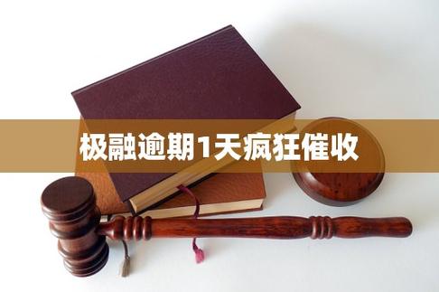 极融 逾期了会怎么样