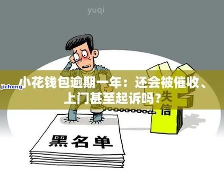 有人被小花钱包起诉过嘛？分享我的经历