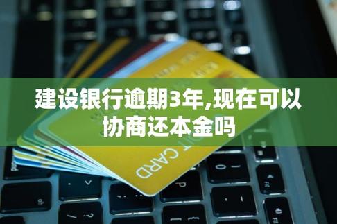 建行协商只还本金的方式是什么？