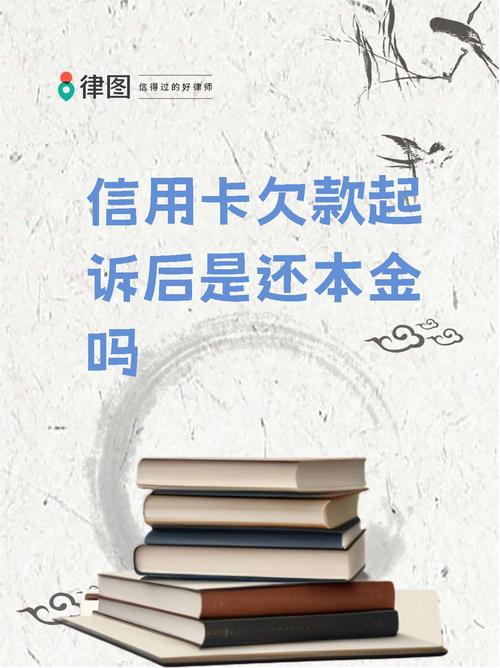 只想还本金被起诉怎么处理才能有效应对