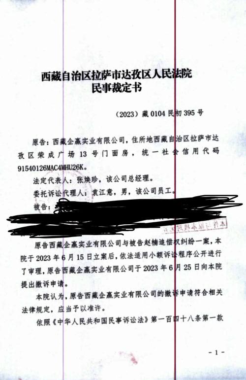 有几个真正被网贷起诉