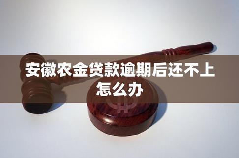 安徽农金不还的后果是什么