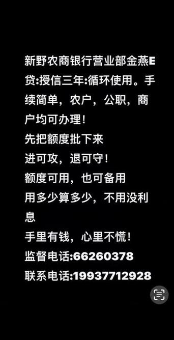 农商金燕e贷20万还不上怎么办才好？