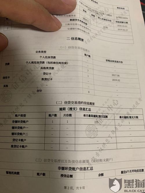 逾期信贷2024