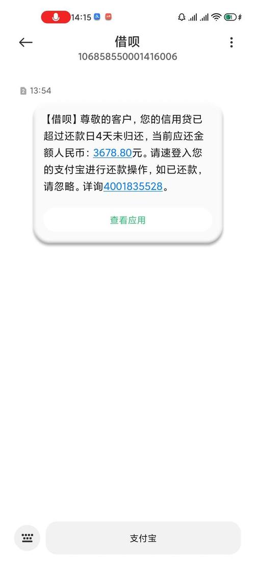 支付宝的钱逾期了会有什么后果影响?