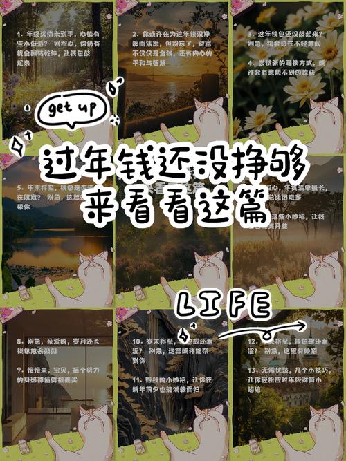 过年了没钱还该怎么办才好