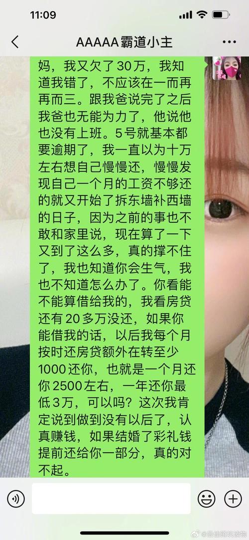 欠网贷两万多会限制高消费吗？