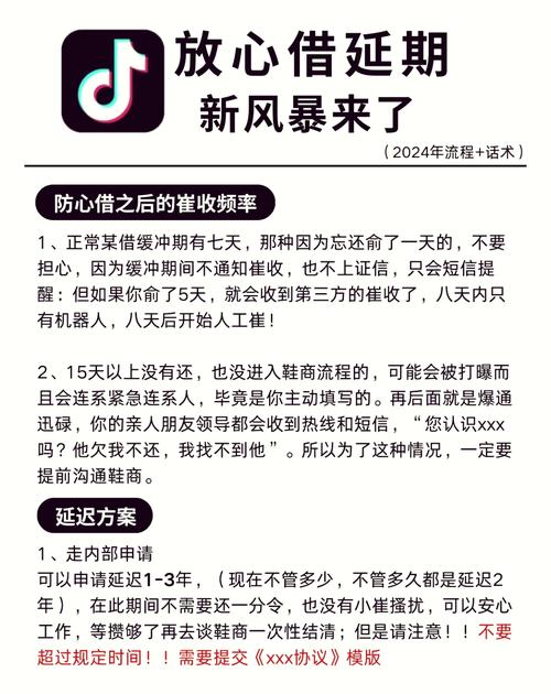 放心借平台说没有延期政策该如何应对？