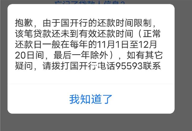 支付宝贷款还不起会怎样