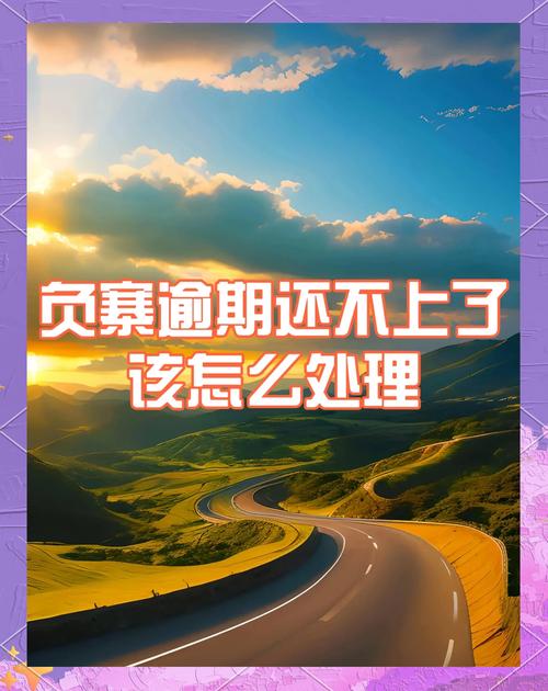 负债太高了还不起钱该如何应对
