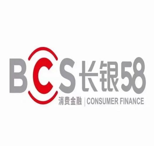 长银58还不起了