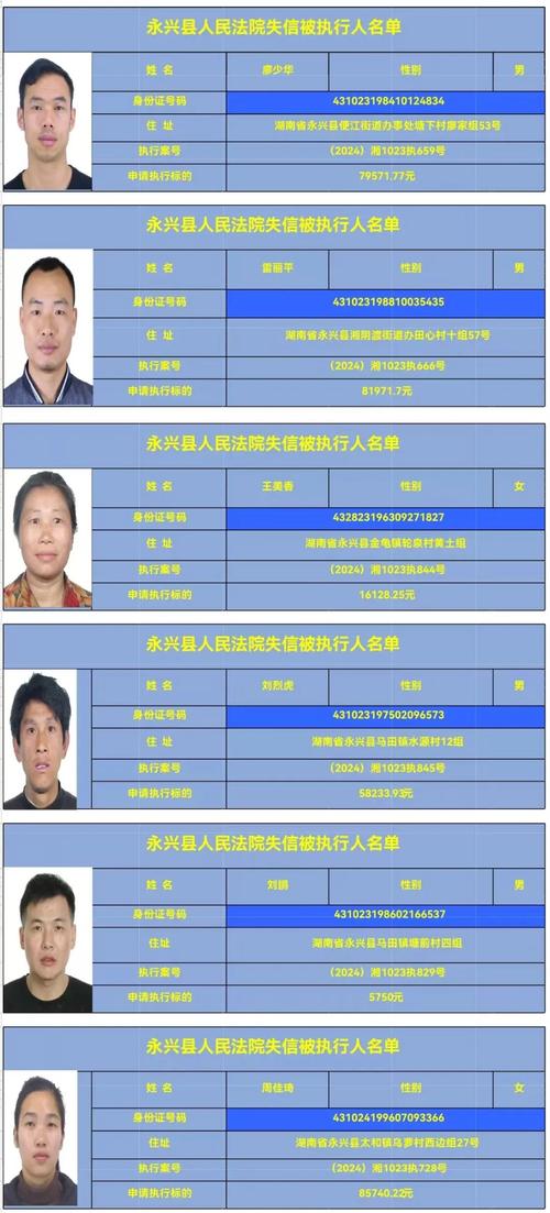 2024年失信人新规定