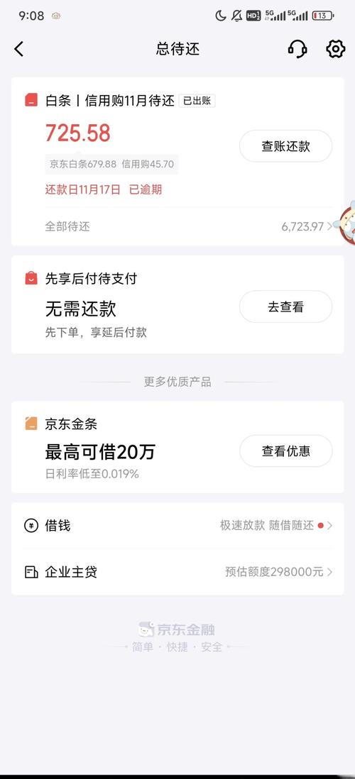 白条逾期怎么查看本金的具体方法是什么？