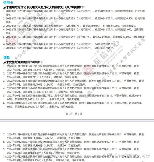 长银消费金融是什么网贷代偿的相关信息解读