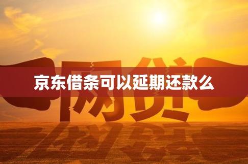 京东的延期还款有哪些注意事项