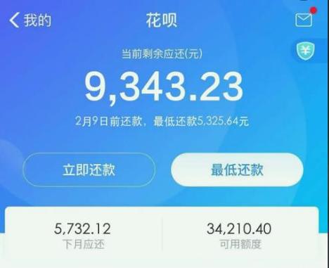 花呗欠款不还有什么结果吗