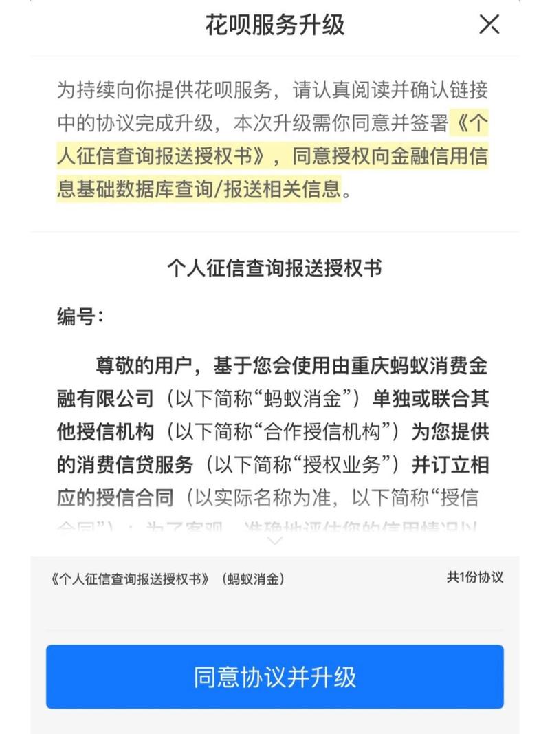 我今天打征信显示了花呗是什么意思