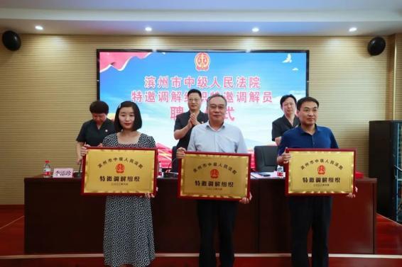 山东省槐荫区法院特邀段北调委会